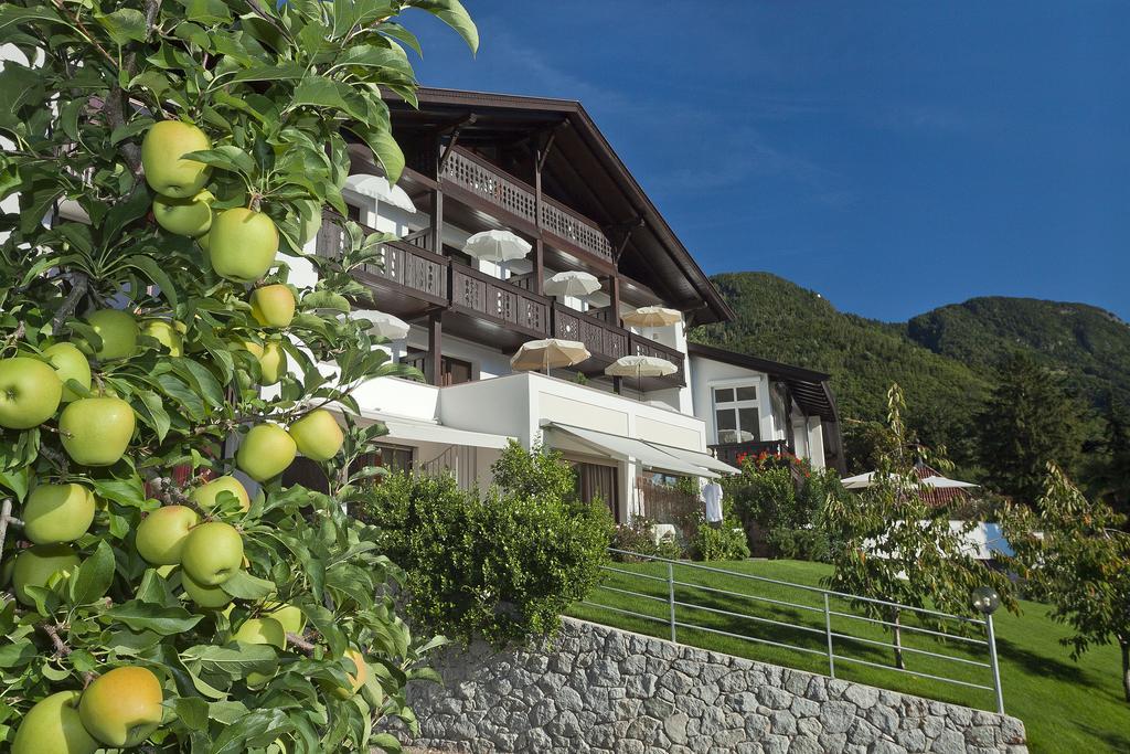 Riedingerhof 3* Meran